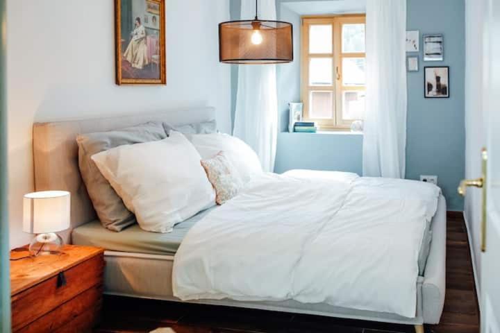 Apartment Aussee- Beletage Salzherrenhof- Kueche, Wlan, Netflix "바트아우시 외부 사진